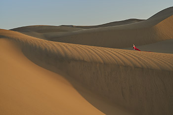 Namib desard Africa